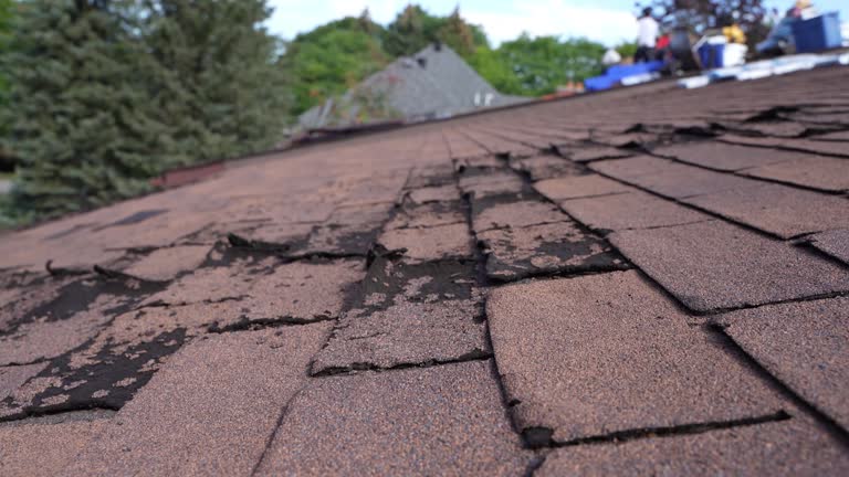 Best Emergency Roof Repair Services  in Wyoming, OH