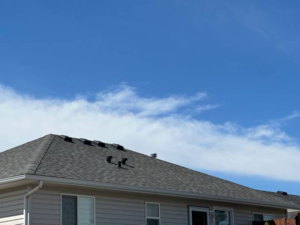 Best Roof Maintenance and Cleaning  in Wyoming, OH